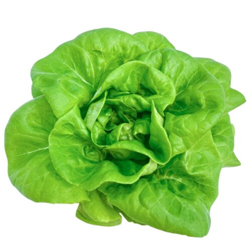 綠奶油