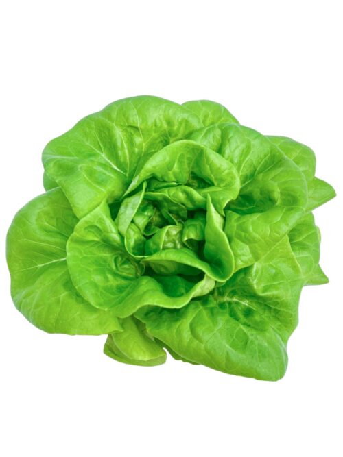 綠奶油