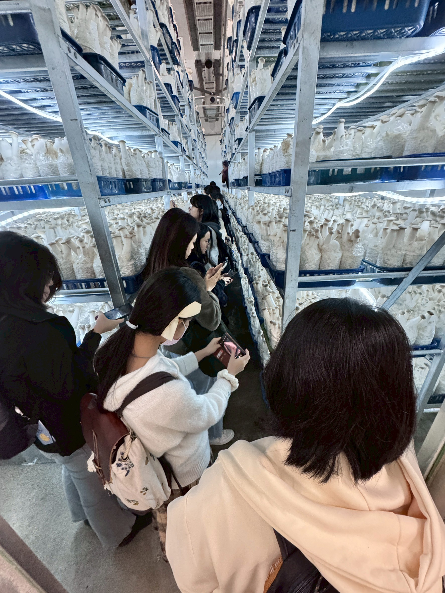 臺大植物病理與微生物學系參訪萬生現場紀錄